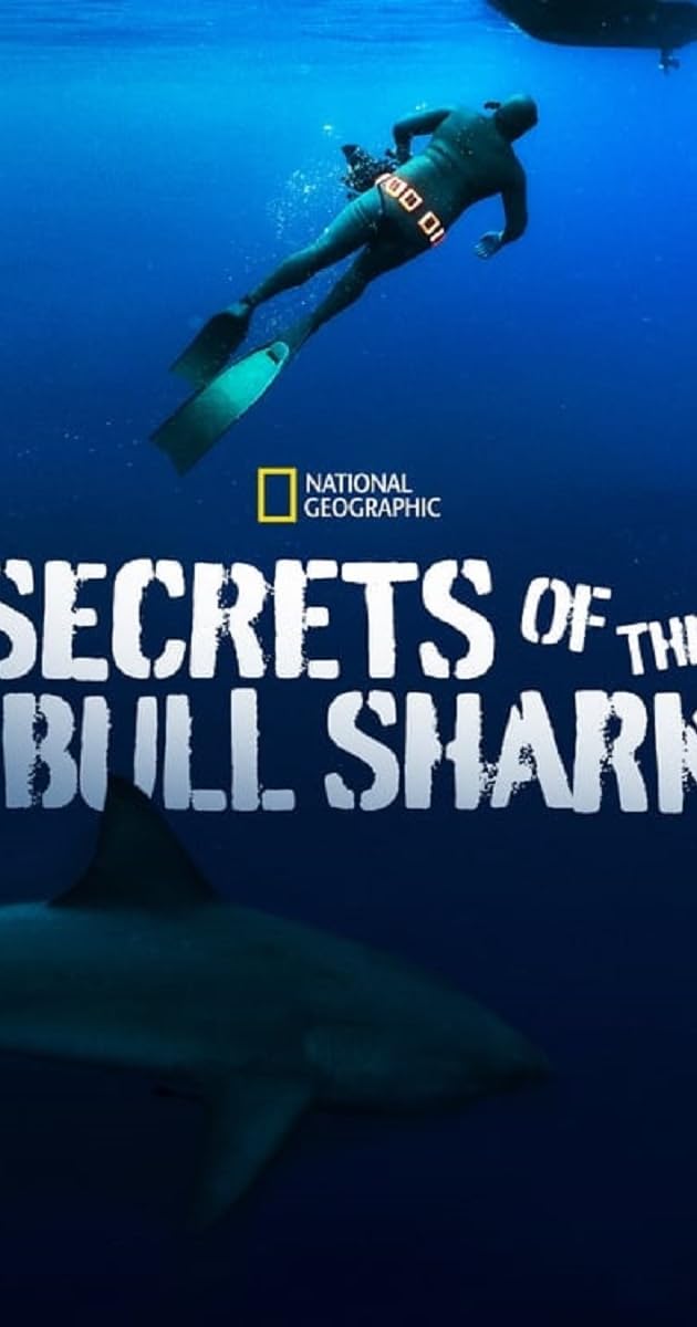 Secrets of the Bull Shark