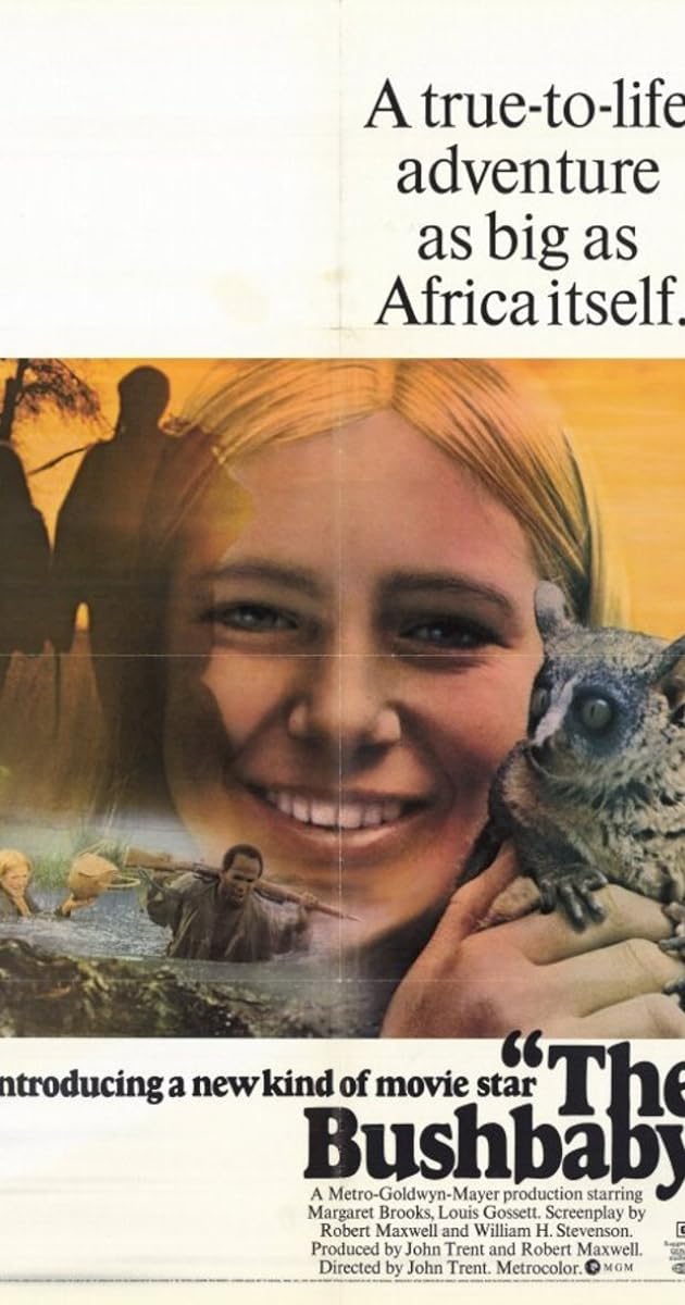The Bushbaby