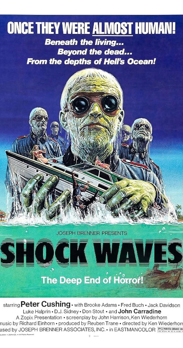 Shock Waves
