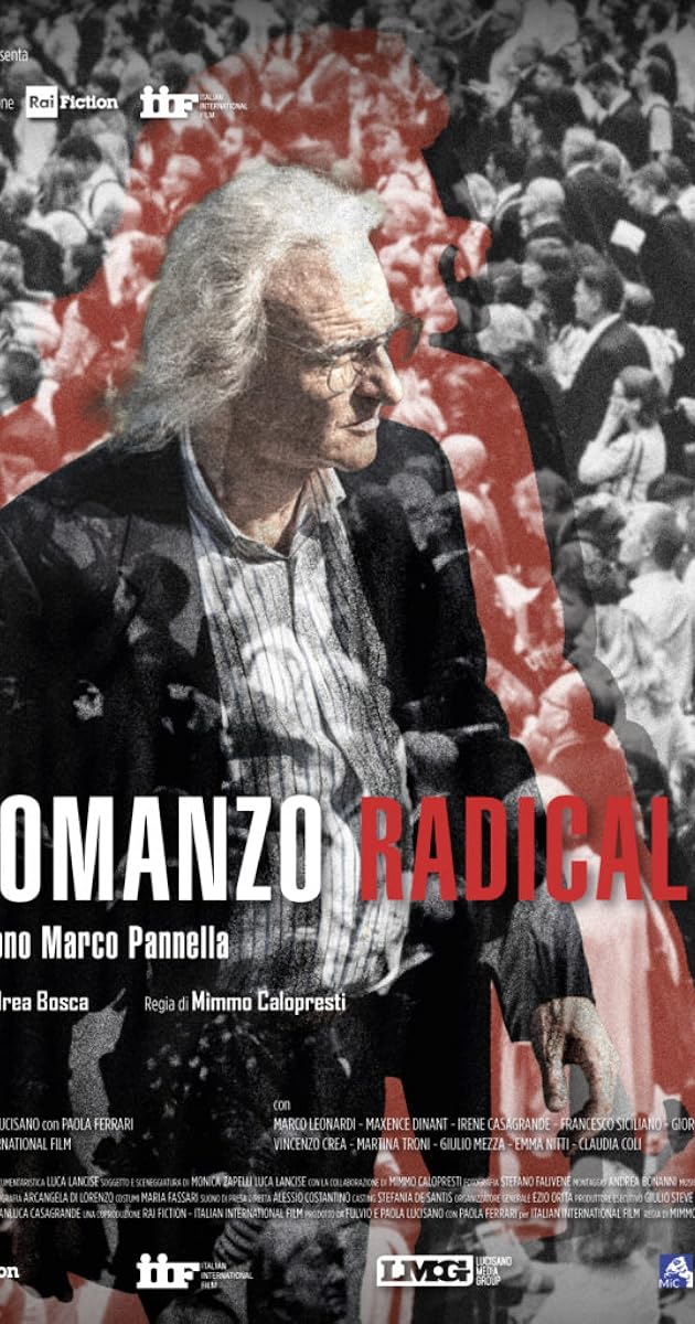 Romanzo radicale