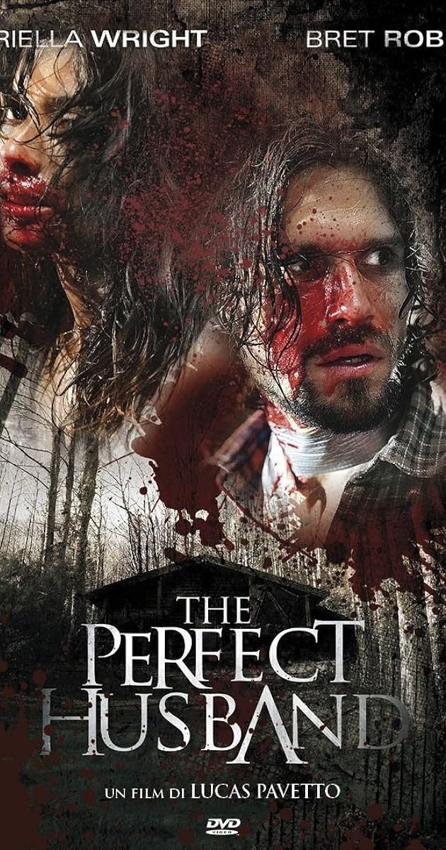 The Perfect Husband