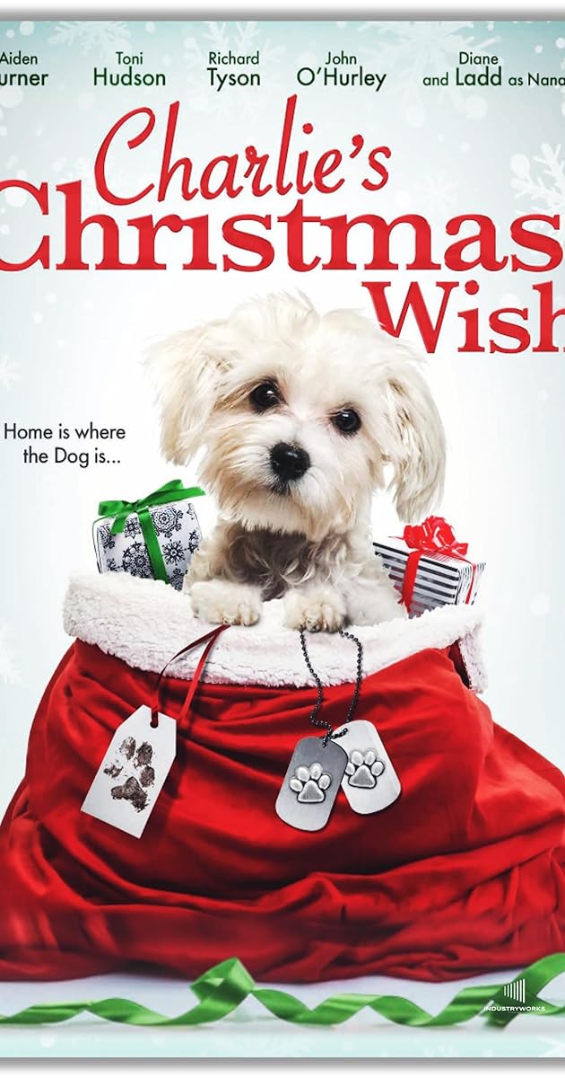 Charlie's Christmas Wish
