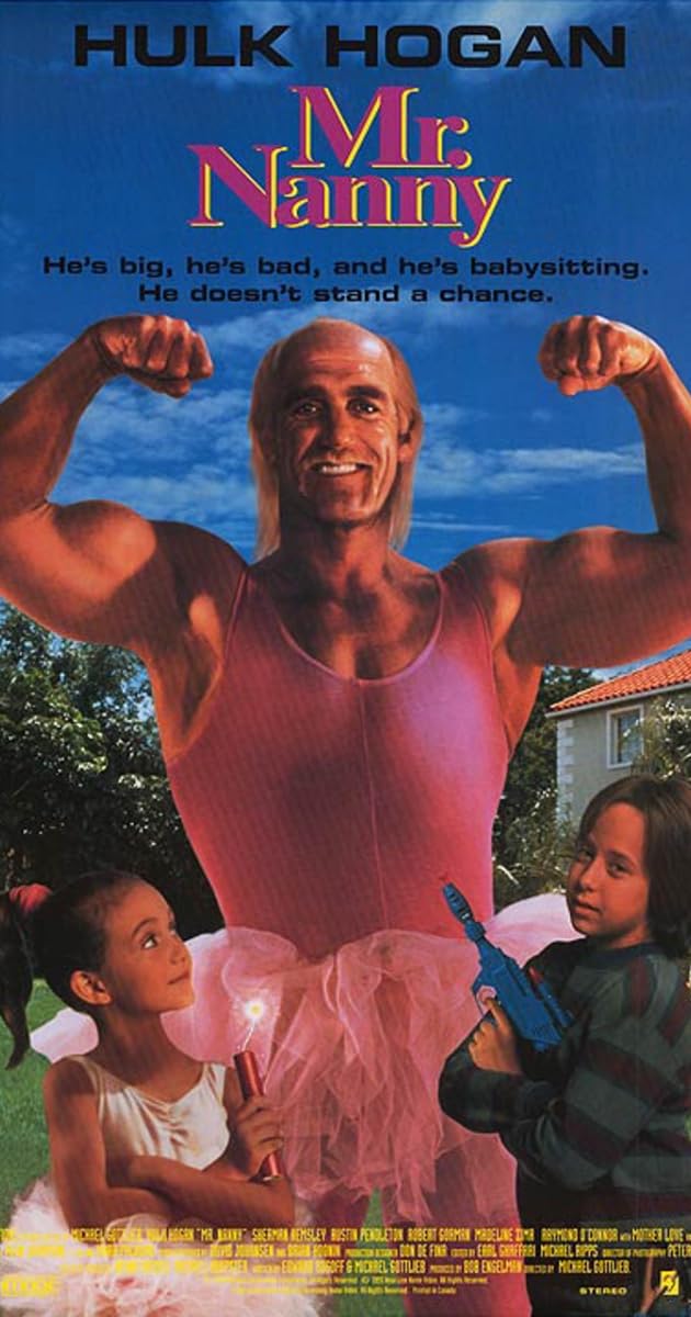 Mr. Nanny