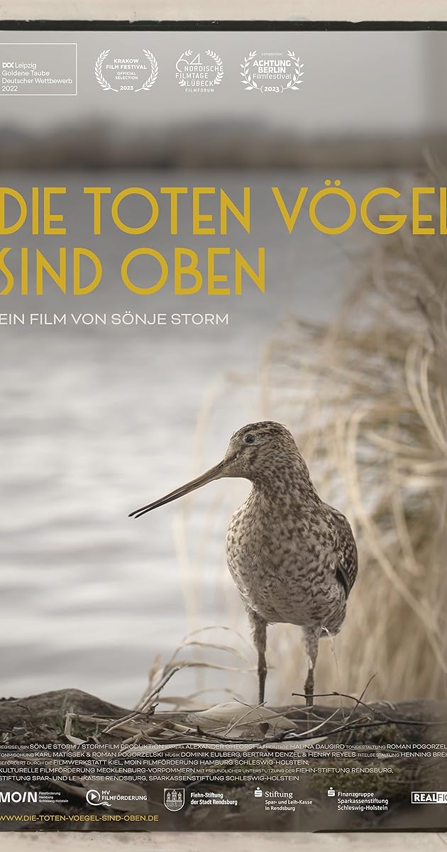 Die toten Vögel sind oben
