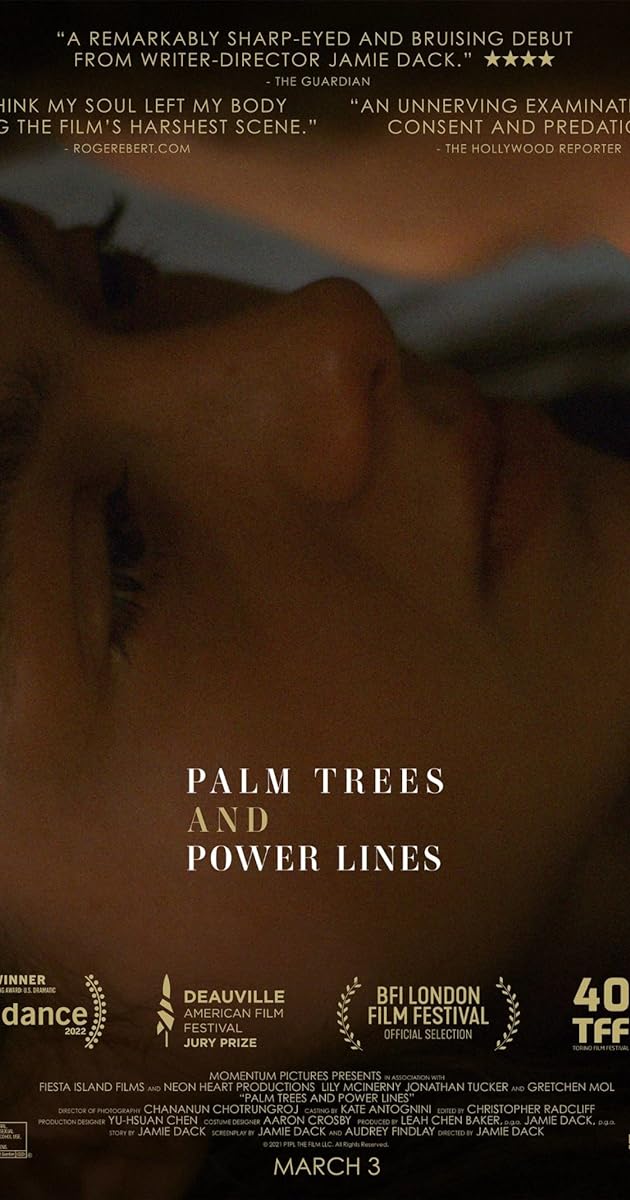 Palm Trees and Power Lines
