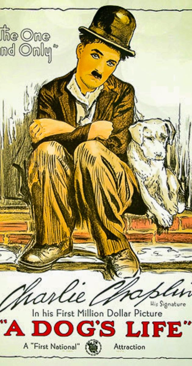 Bir Köpeğin Hayatı