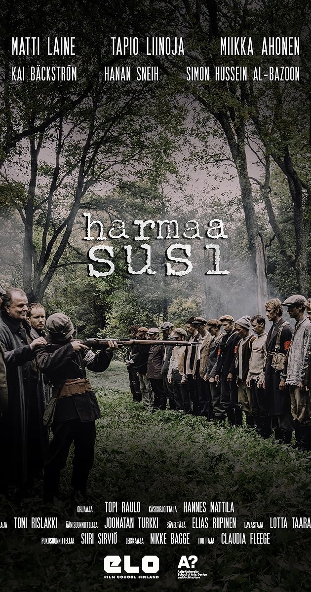 Harmaa Susi