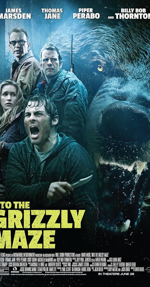 Into the Grizzly Maze