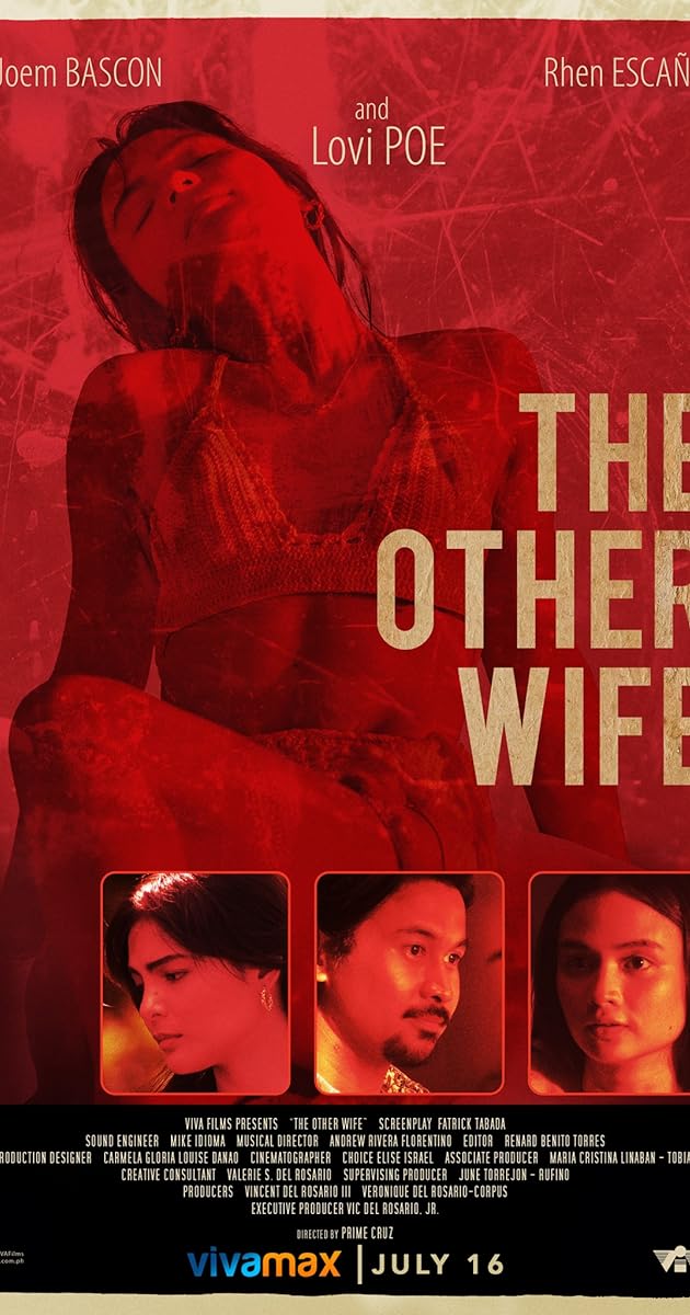 The Other Wife
