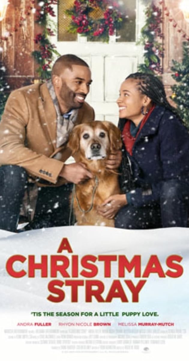 A Christmas Stray