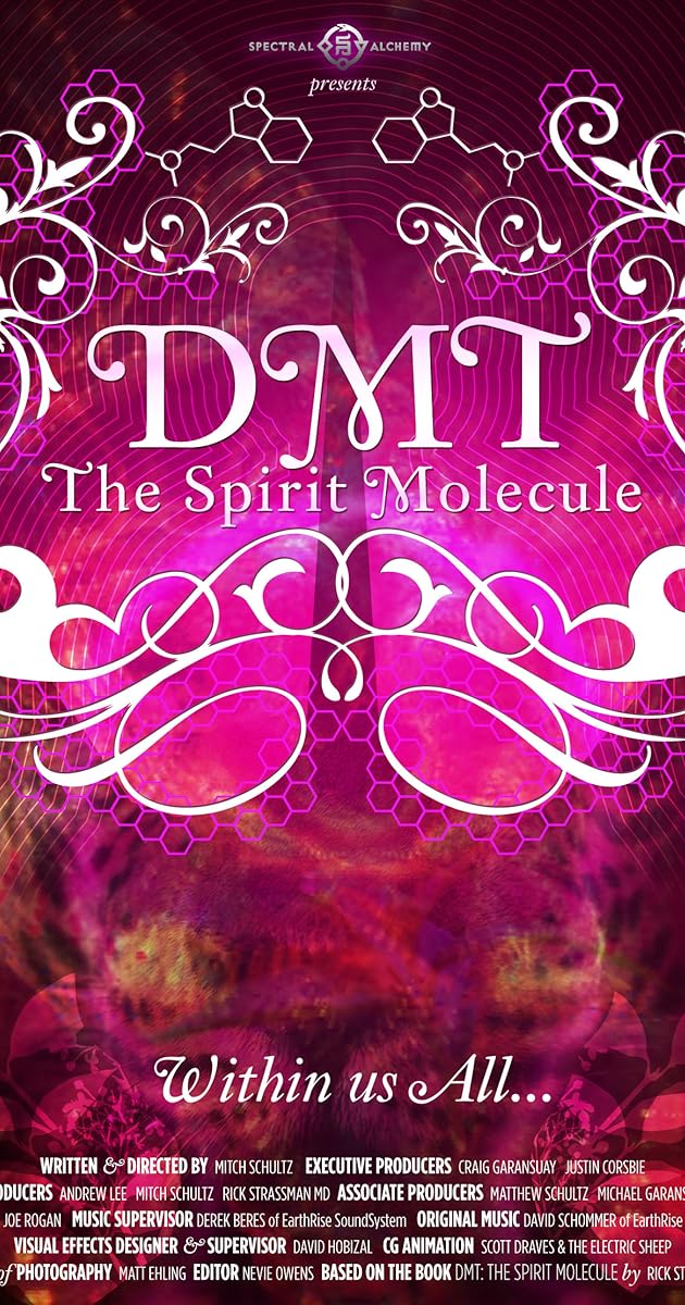 DMT: The Spirit Molecule