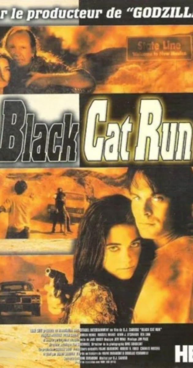 Black Cat Run