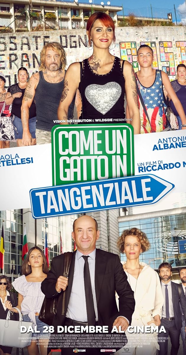 Come un gatto in tangenziale