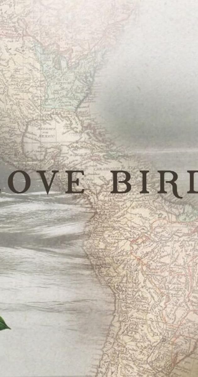 Love Birds