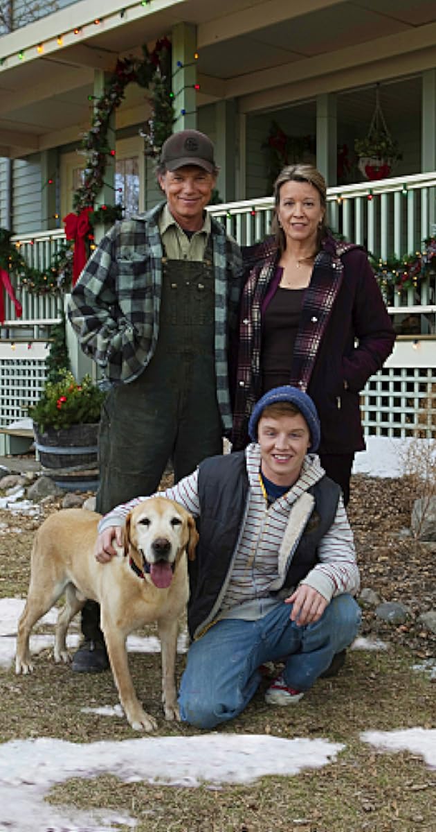 A Dog Named Christmas