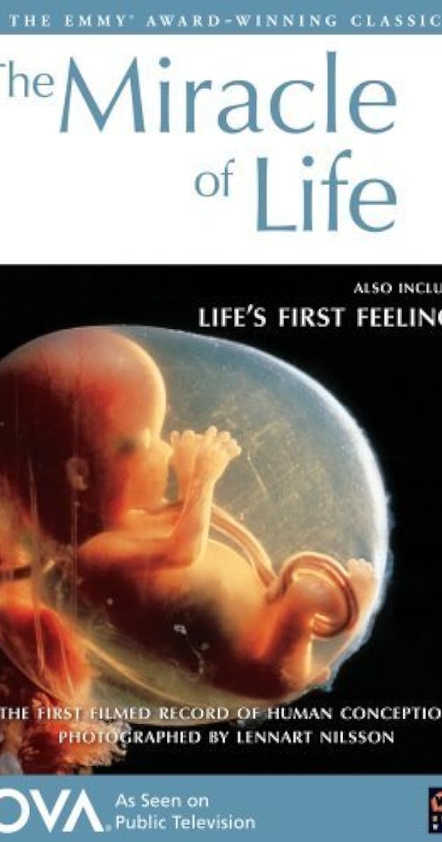 Odyssey of Life