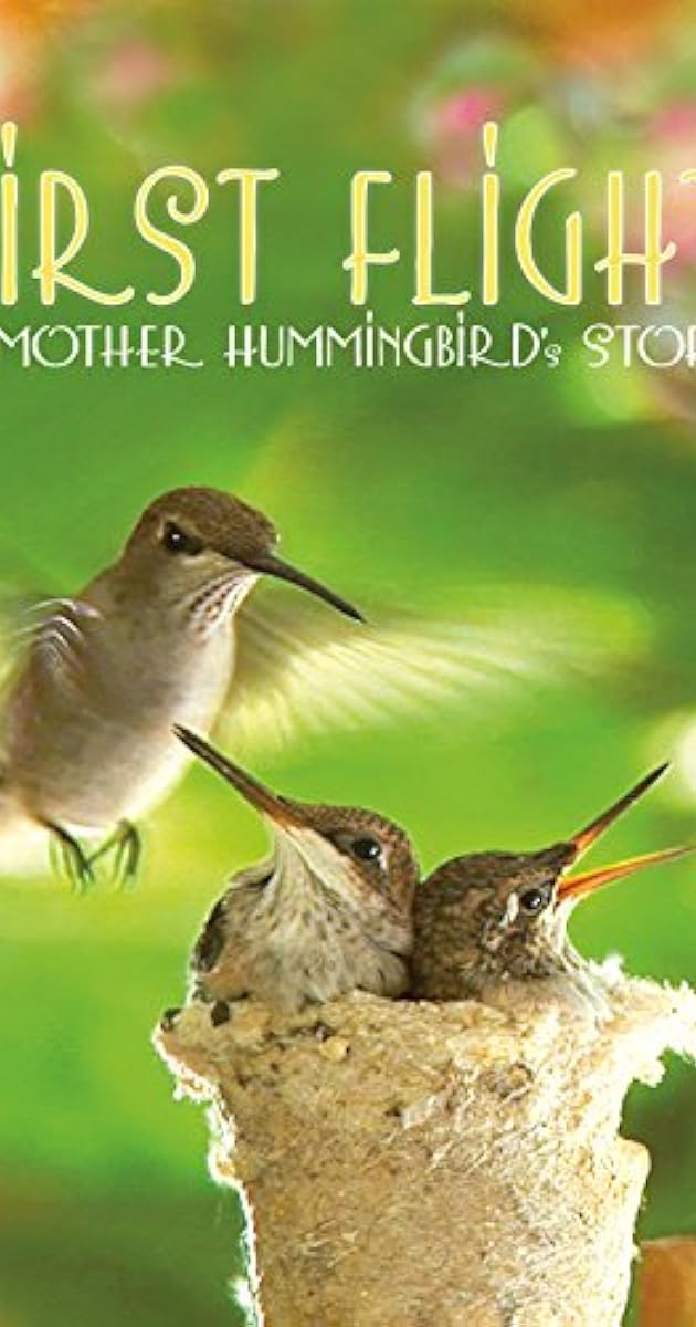 First Flight: A Mother Hummingbird's Story
