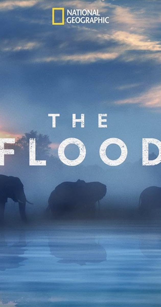The Flood