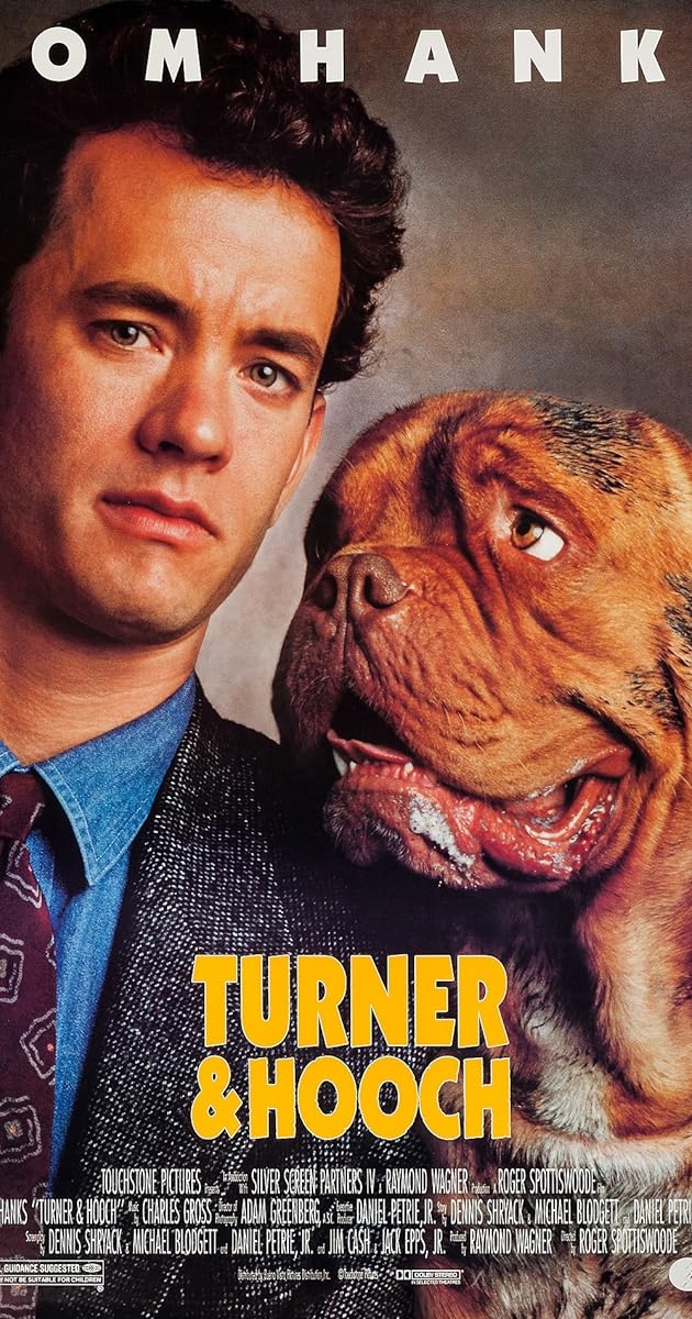 Dikkat Köpek Var