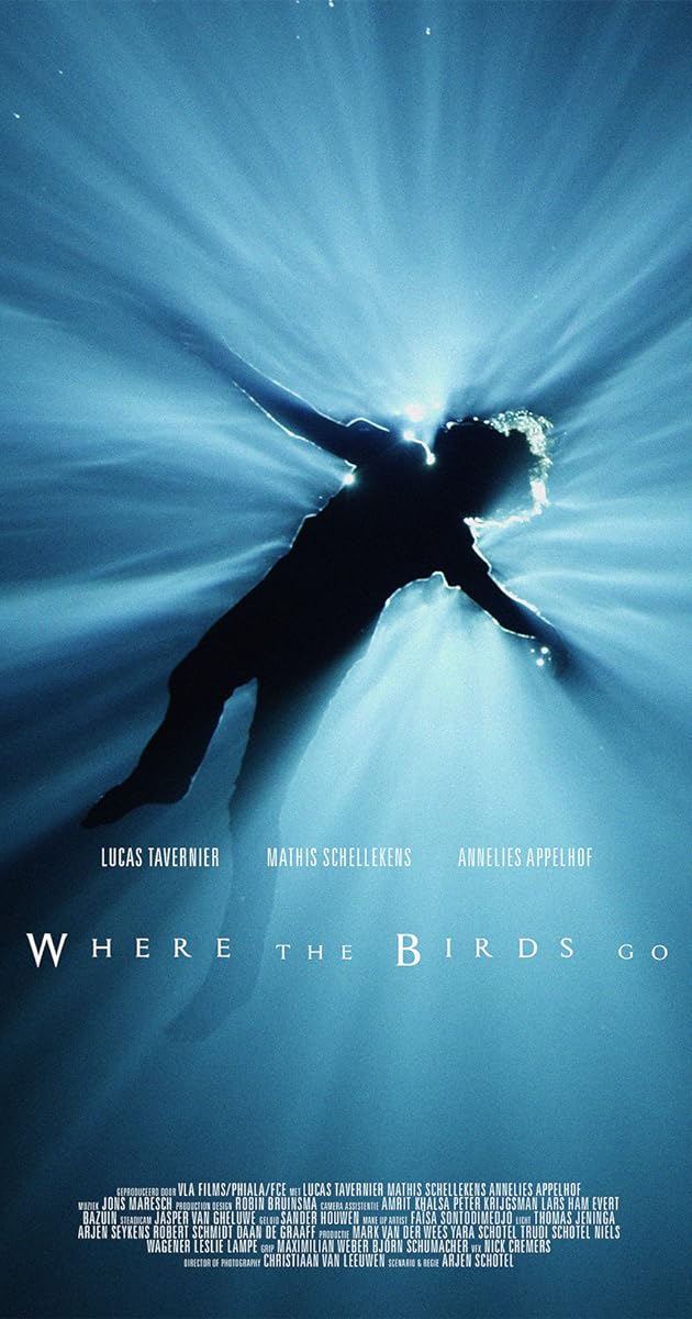 Where the birds go