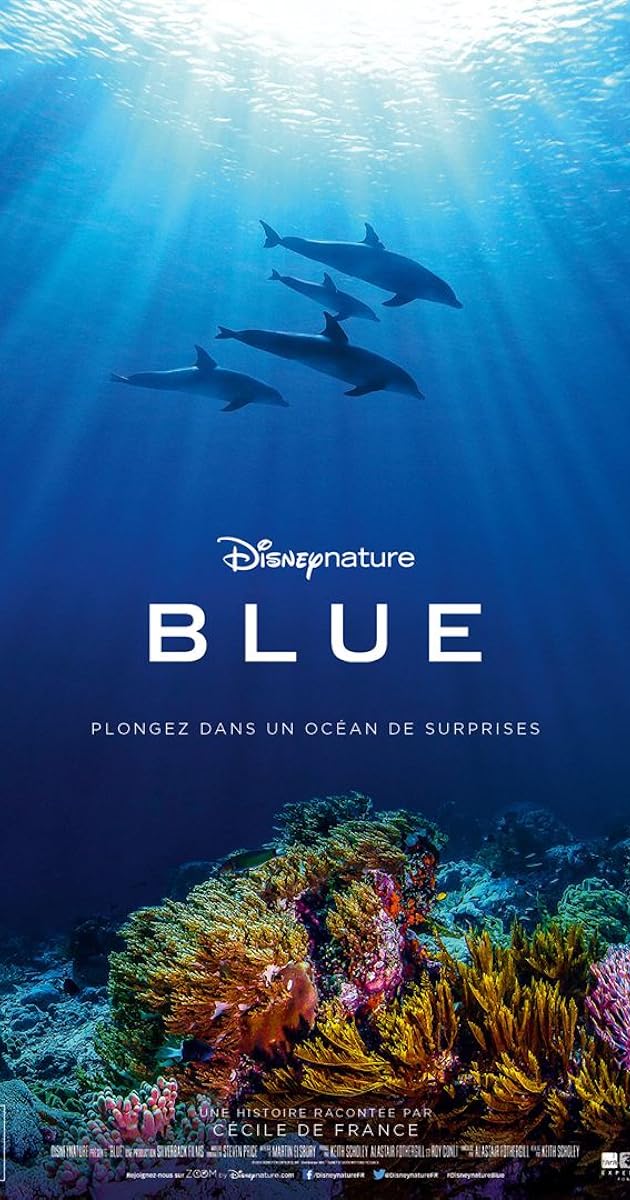 Dolphin Reef