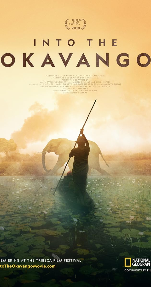 Into the Okavango