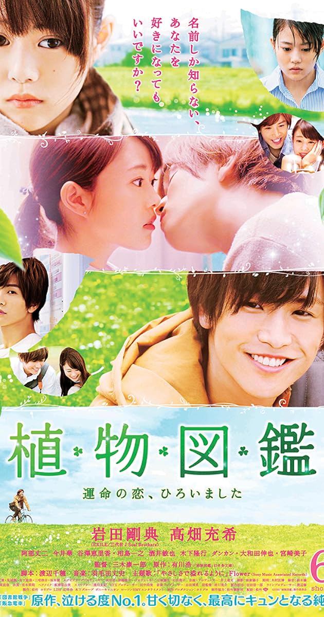 Evergreen Love