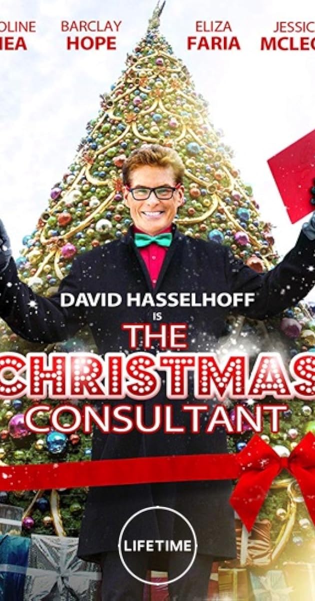 The Christmas Consultant