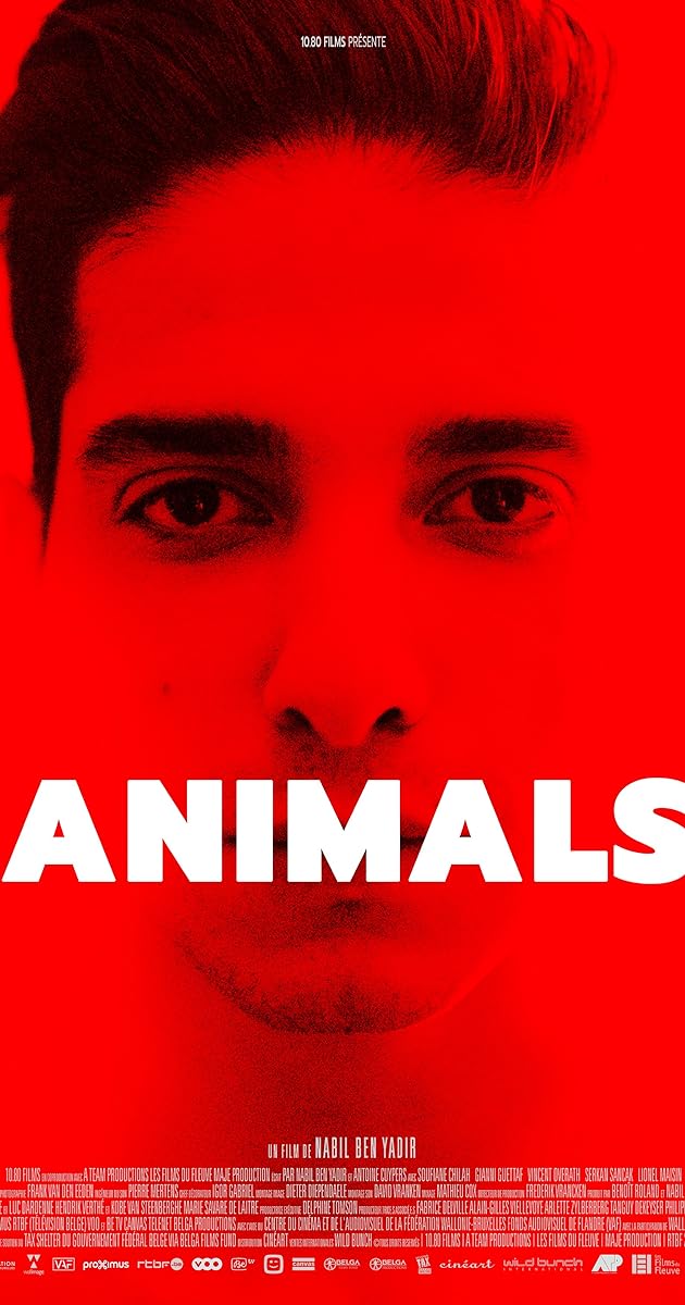 Animals