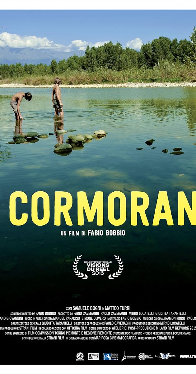 I cormorani