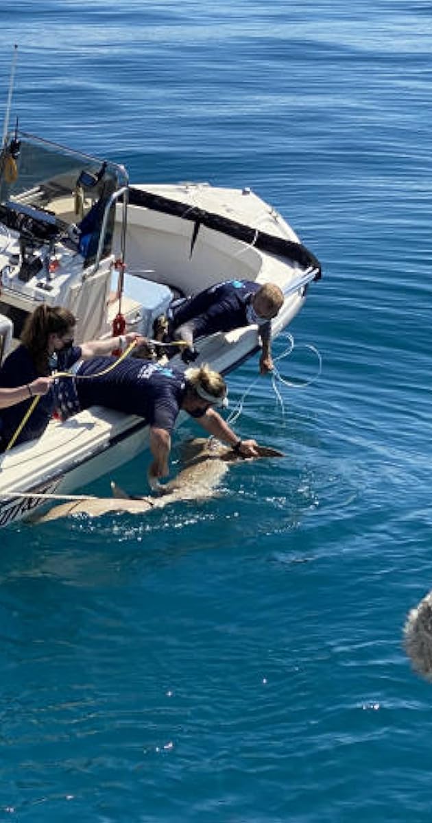 Shark Attack Investigation: The Paige Winter Story