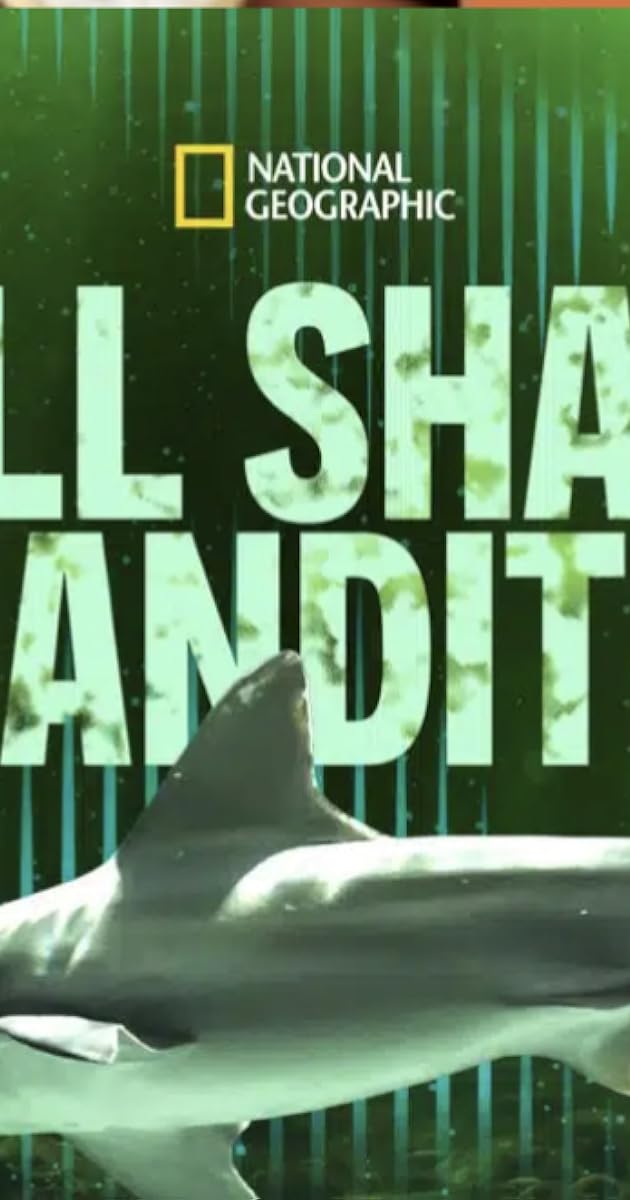 Bull Shark Bandits