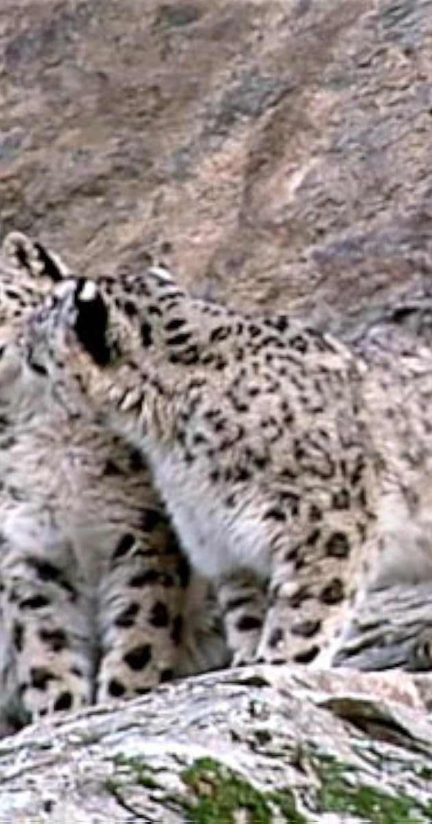 Snow Leopard: Beyond the Myth