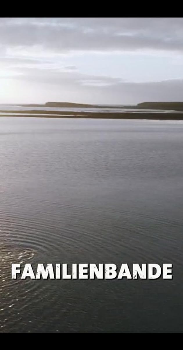 Der Irland-Krimi: Familienbande
