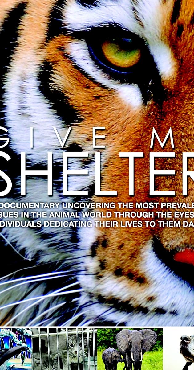 Give Me Shelter