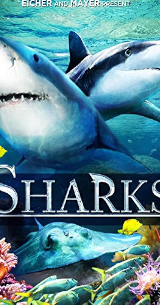 Sharks (in 3D)