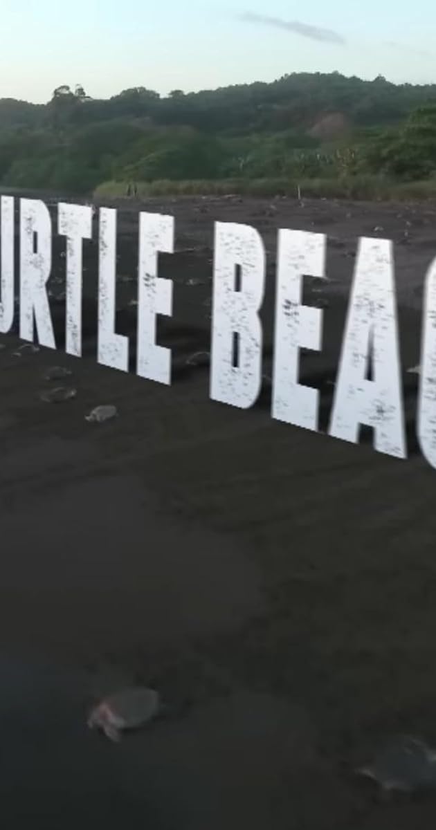 La vie secrète d'un nid de tortues marines