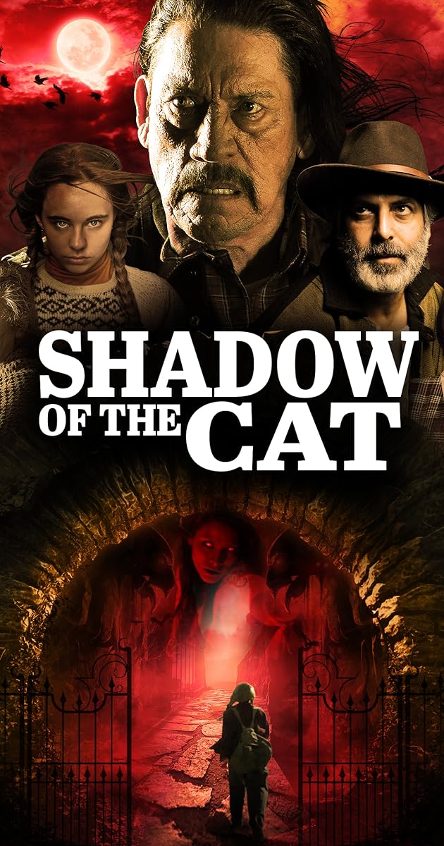 La sombra del gato