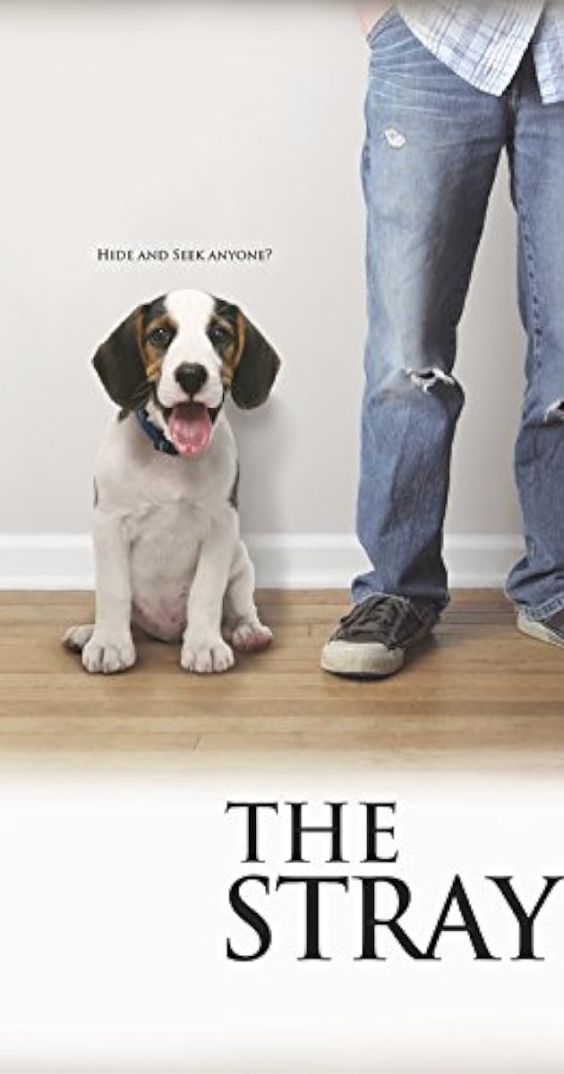 The Stray