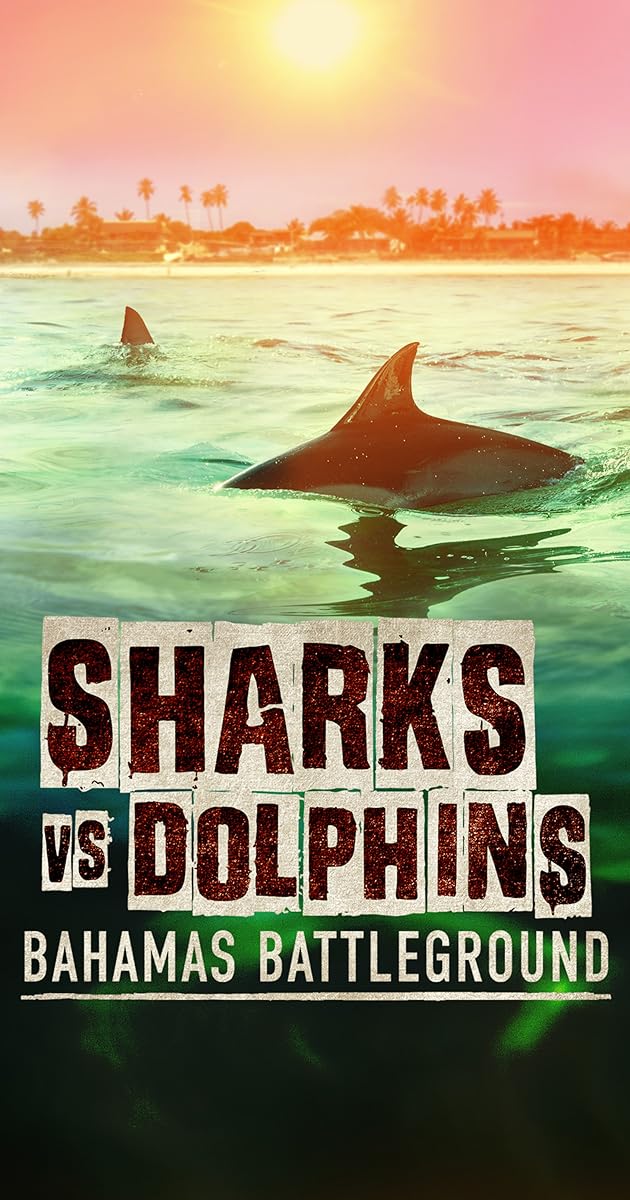Sharks vs. Dolphins: Bahamas Battleground