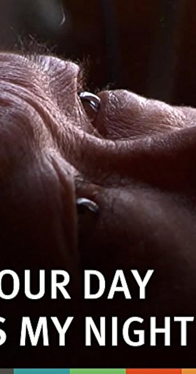Your Day Is My Night