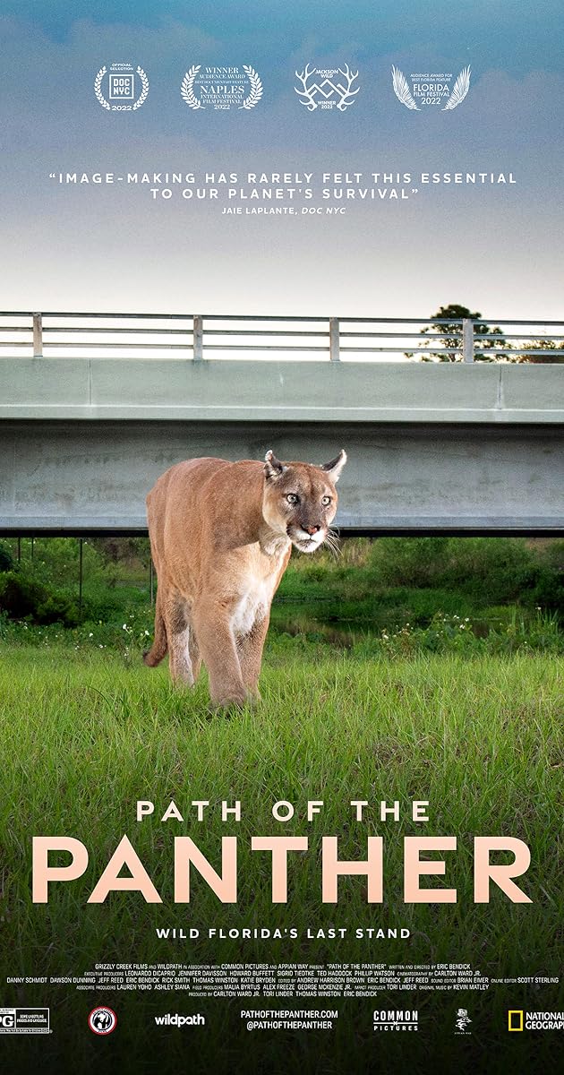 Path of the Panther
