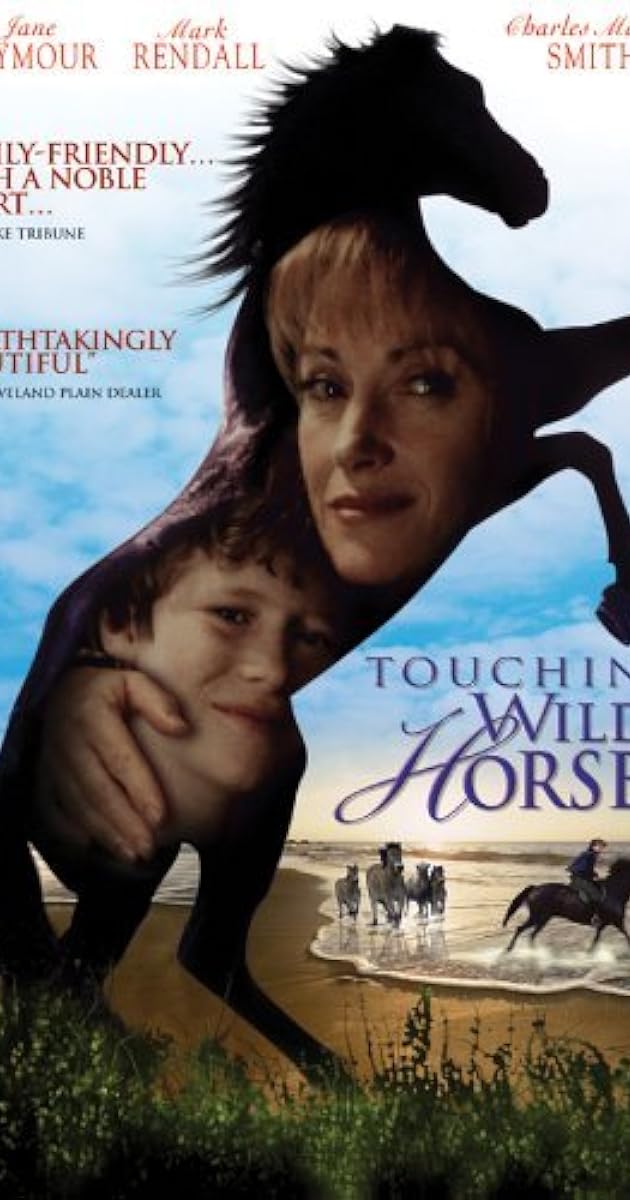 Touching Wild Horses