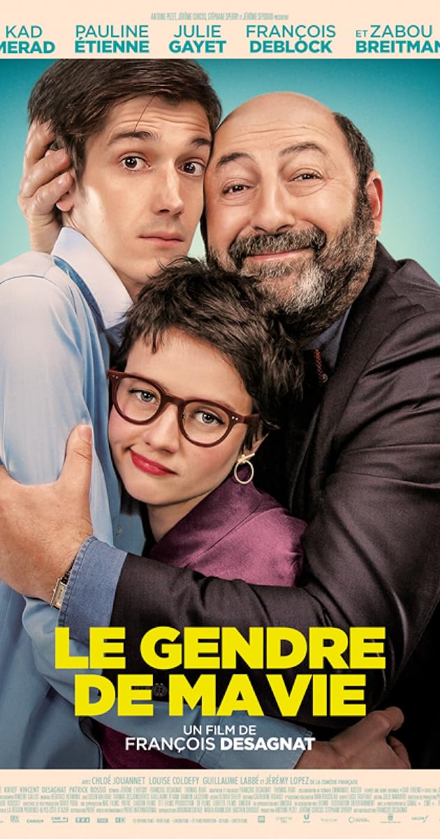 Le Gendre de ma vie
