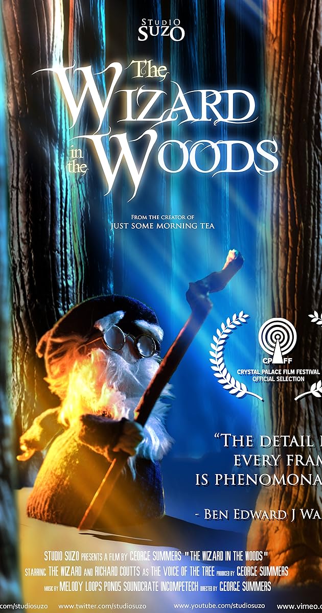 The Wizard in the Woods