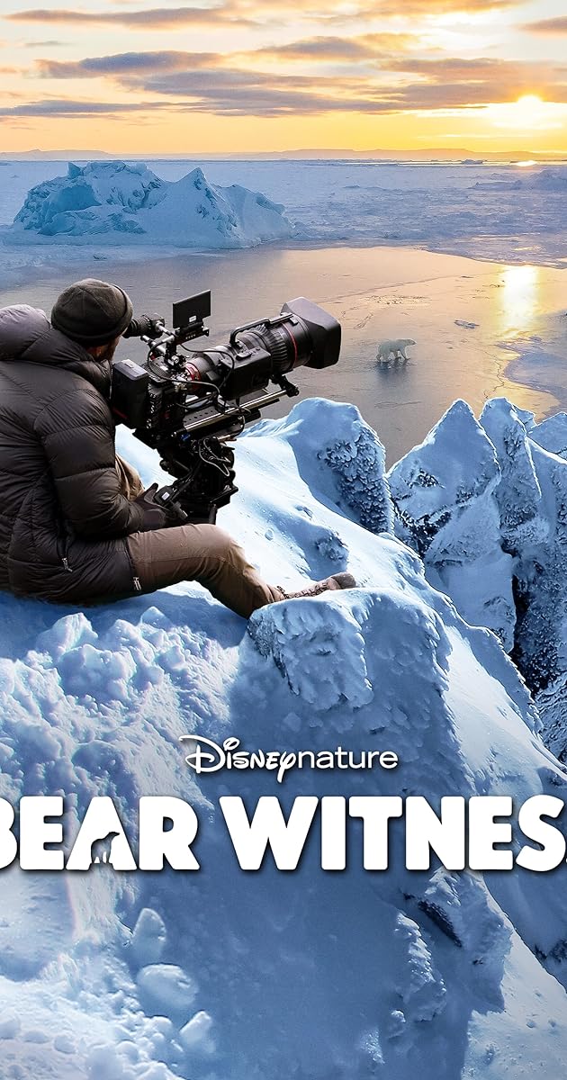 Bear Witness