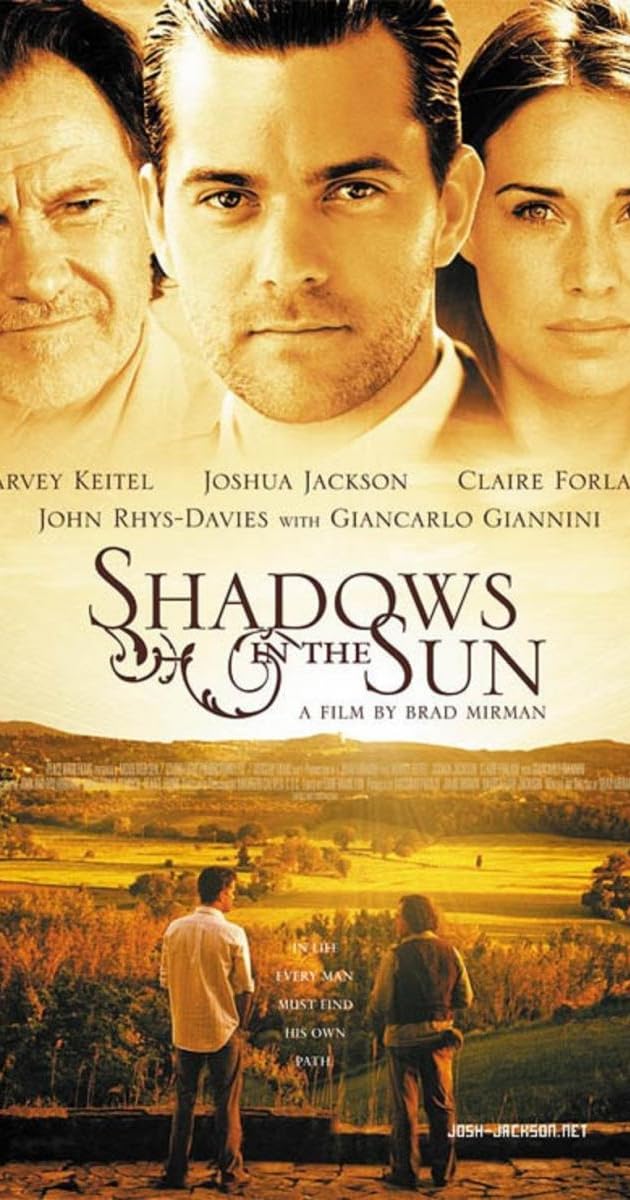 Shadows in the Sun