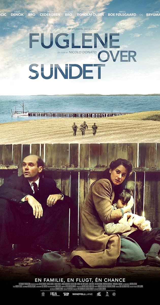 Fuglene over sundet