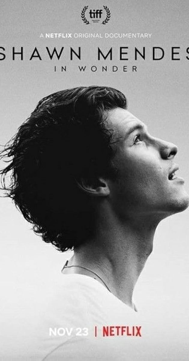 Shawn Mendes: In Wonder