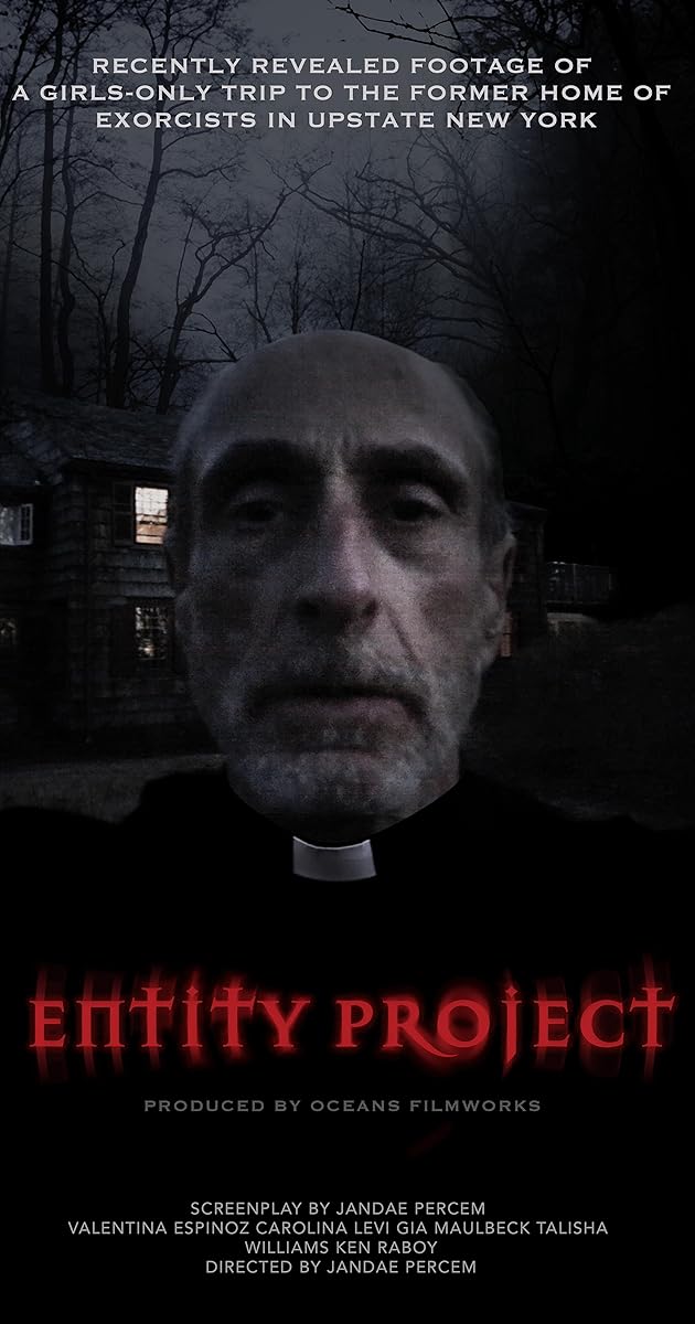 Entity Project